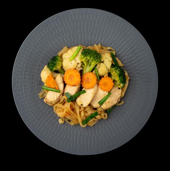 Stir-Fried Chicken Noodles